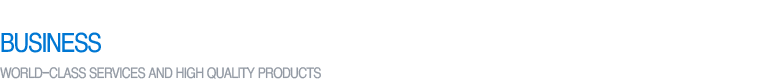 사업분야1
