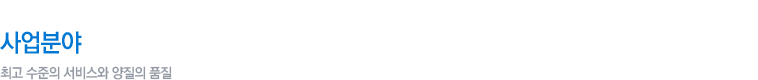 사업분야1